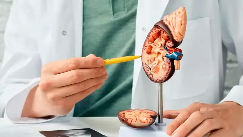 Desajuste en exámenes de sangre alerta sobre fallo renal y muerte