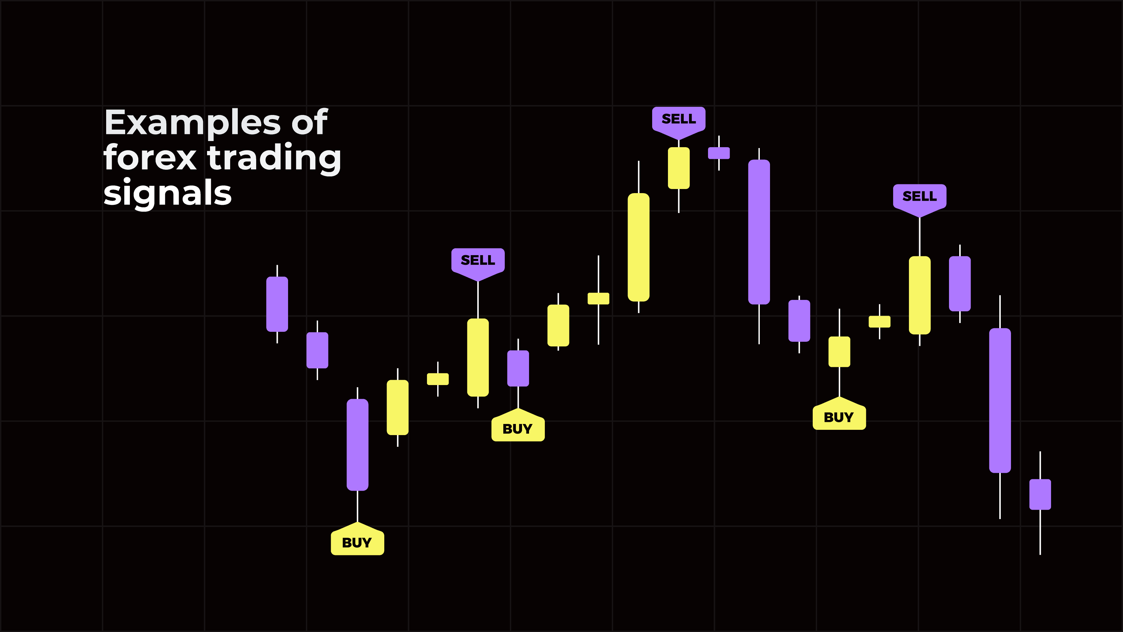 Estafas de Forex y la gran caza para el mejor sistema de