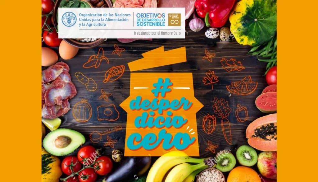 La Cocina Sostenible Domina el 2026: Descubre las Recetas más Buscadas