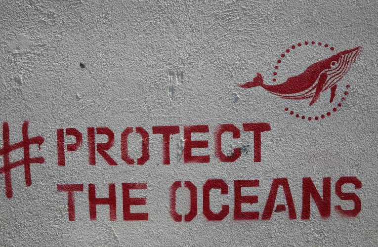 Ciudad Esponja: La revolución de Kongjian Yu contra las inundaciones